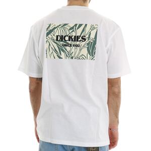 T-SHIRT MAX MEADOWS DICKIES - Mad Fashion | img vers.300x/